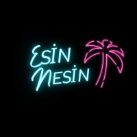 nesin_